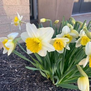 Meet your Posher, Sean